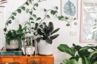 5 redenen om wat groen in je huis te brengen